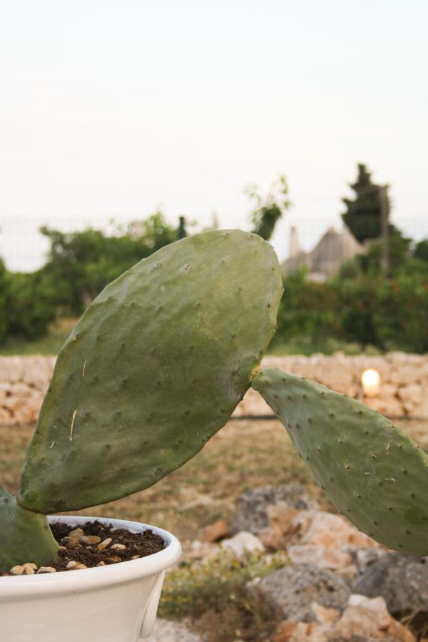 Enjoytrulli - Countryside Villa Noci Kültér fotó