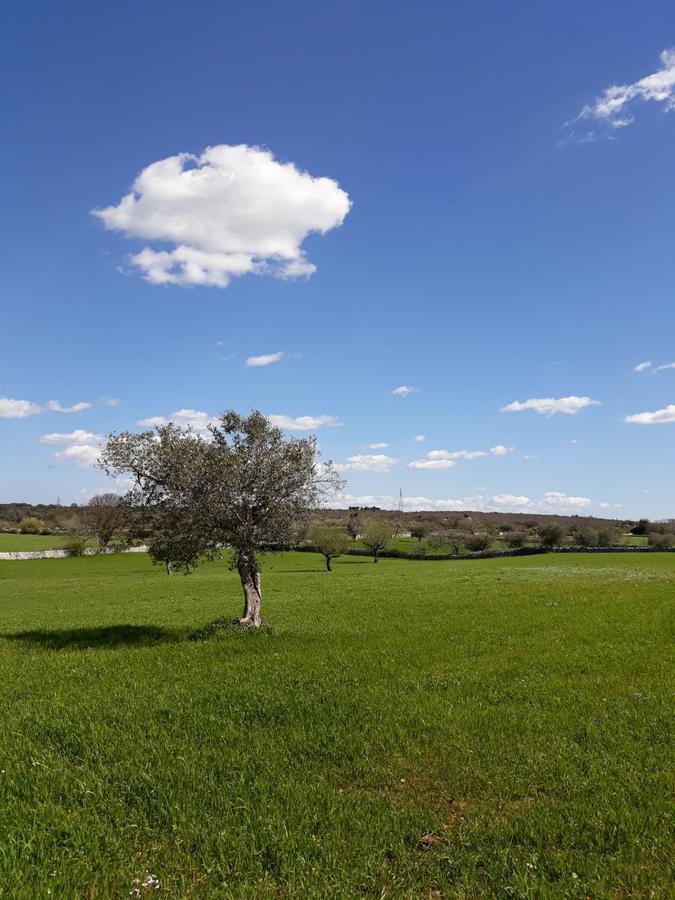 Enjoytrulli - Countryside Villa Noci Kültér fotó